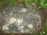 image of grave number 350011